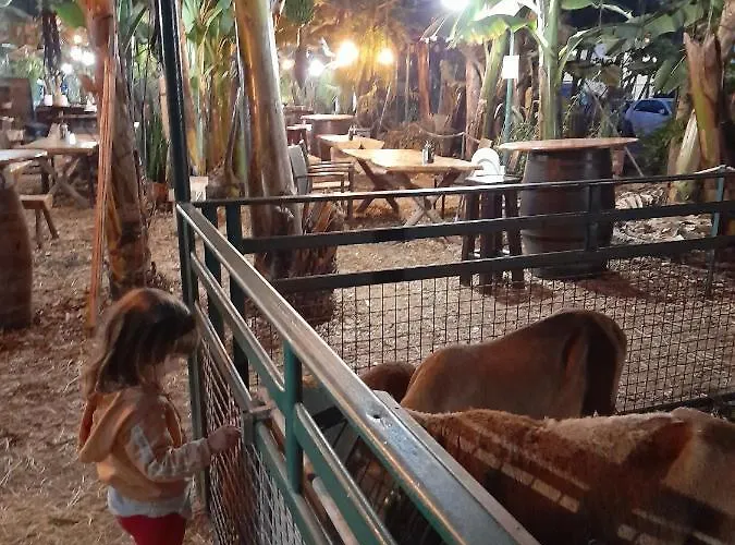 Tenerife Habitación en casa particular