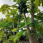 Privatunterkunft Tenerife *