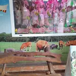 Homestay szállás Tenerife