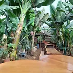Tenerife Homestay szállás San Miguel de Abona