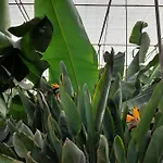 Tenerife Privatunterkunft San Miguel de Abona