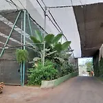 Tenerife Privatunterkunft San Miguel de Abona