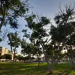Tenerife Homestay szállás San Miguel de Abona