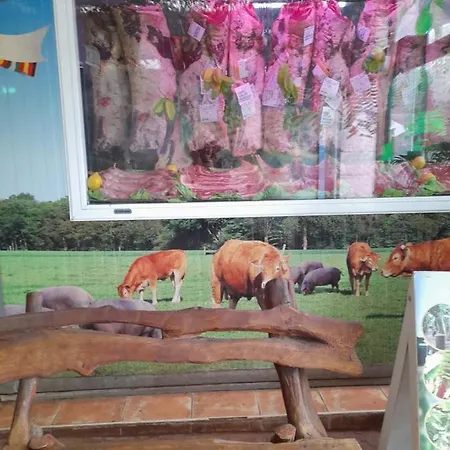 홈스테이 Tenerife