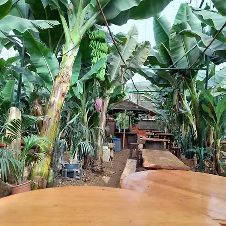 Tenerife Alloggio in famiglia San Miguel de Abona