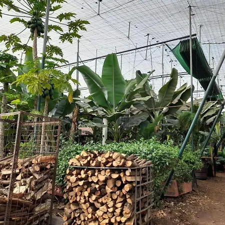 홈스테이 Tenerife 산미겔데아보나