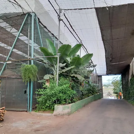 Tenerife Privat bolig San Miguel de Abona