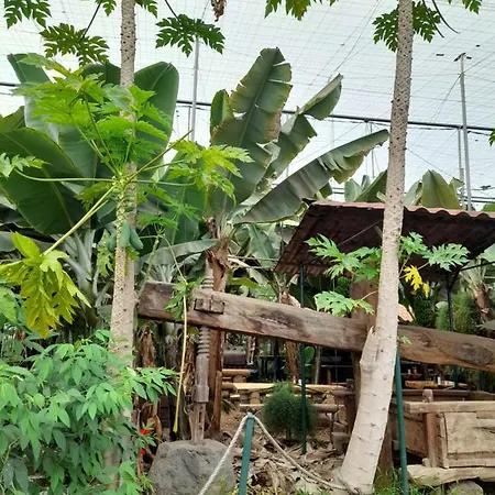 Tenerife 홈스테이 산미겔데아보나