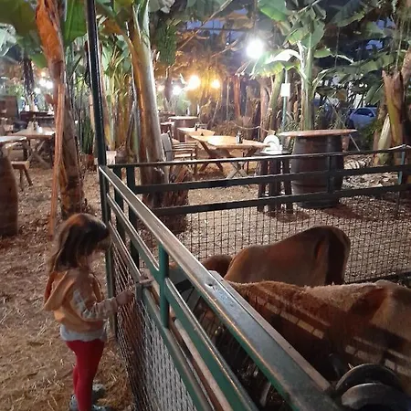 Tenerife 홈스테이