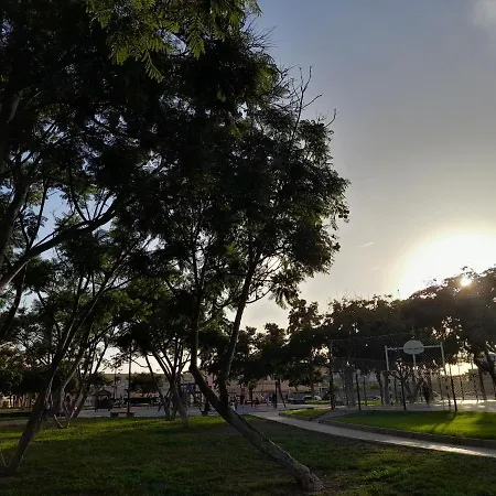 Tenerife 홈스테이