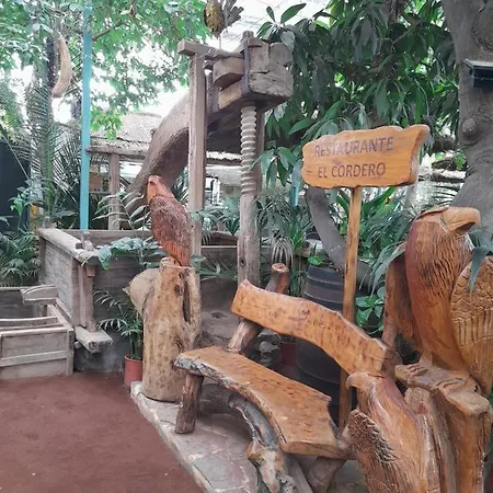 홈스테이 Tenerife