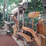 Homestay Tenerife