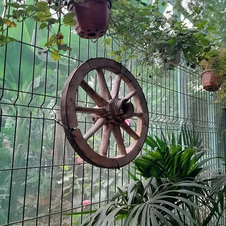 ホームステイ Tenerife サンミゲル・デ・アボナ