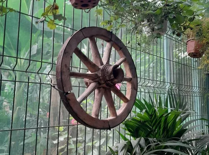 Δωμάτια σε οικογενειακή κατοικία Tenerife Σαν Μιγκέλ ντε Αμπόνα