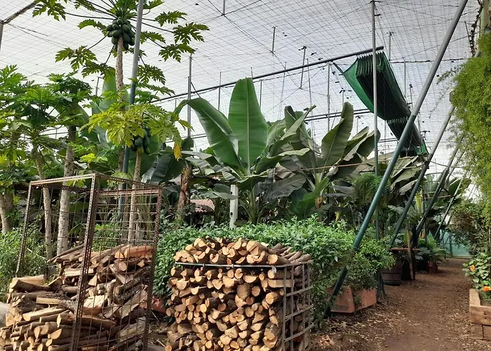 Kwatera prywatna Tenerife San Miguel de Abona