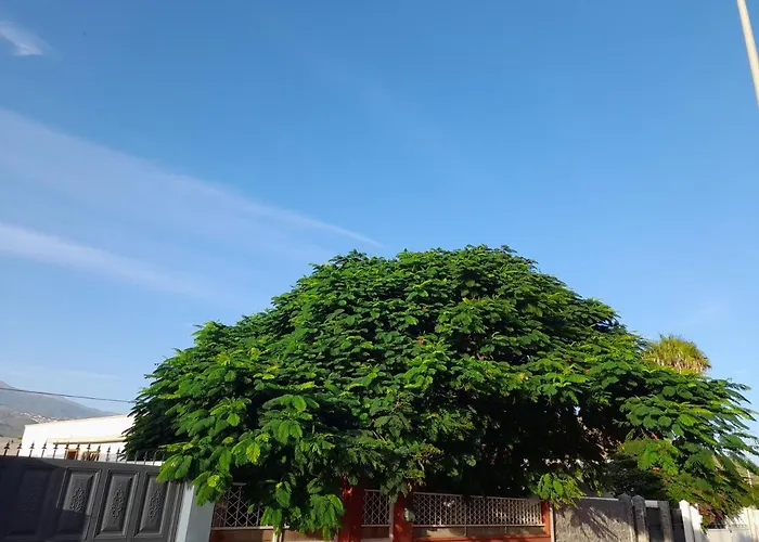 Tenerife * Σαν Μιγκέλ ντε Αμπόνα