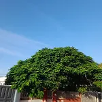 Tenerife * Σαν Μιγκέλ ντε Αμπόνα