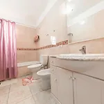 Tenerife * Σαν Μιγκέλ ντε Αμπόνα