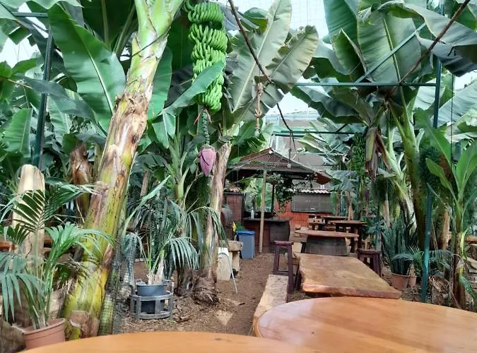 Tenerife Accommodatie bij particulieren San Miguel de Abona