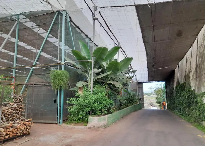 Tenerife Accommodatie bij particulieren San Miguel de Abona