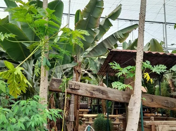 Tenerife Accommodatie bij particulieren San Miguel de Abona